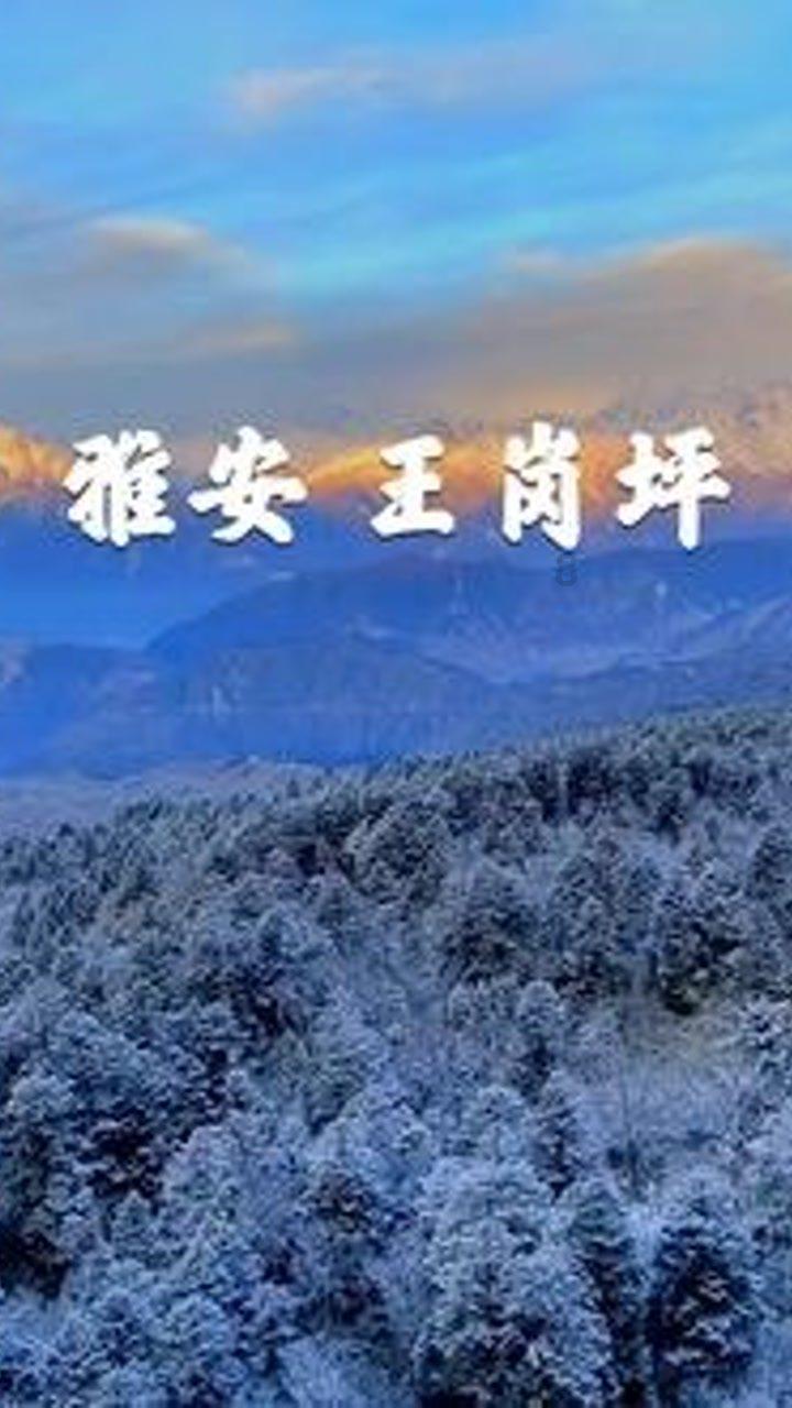 重庆地标重新“回归”，去打个卡，真的和网上吐槽的一样吗？
